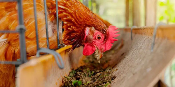 Product Application of PVC Plastic Rain Gutter Extrusion Line